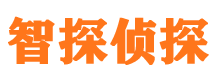 孟村市私家侦探